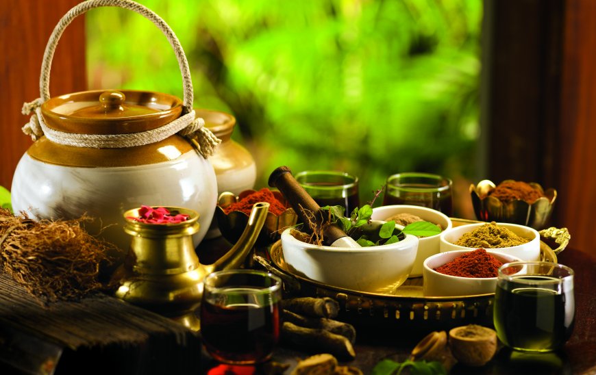 Kerala: Ayurveda and Wellness Tourism in Kerala